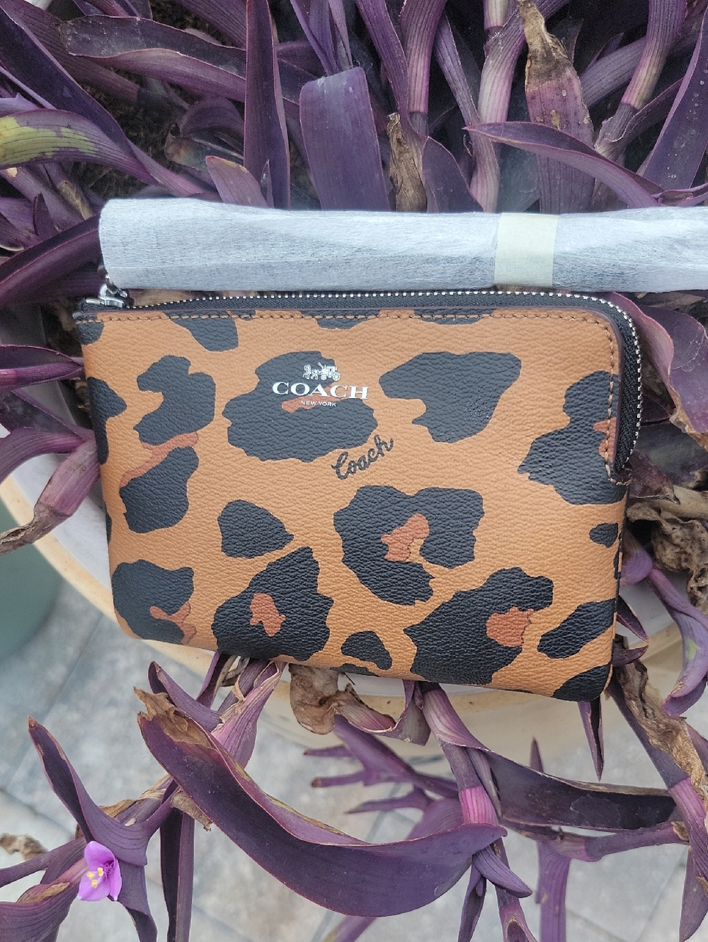 Coach Leopard-Print Zip Card Case - Brown/Black